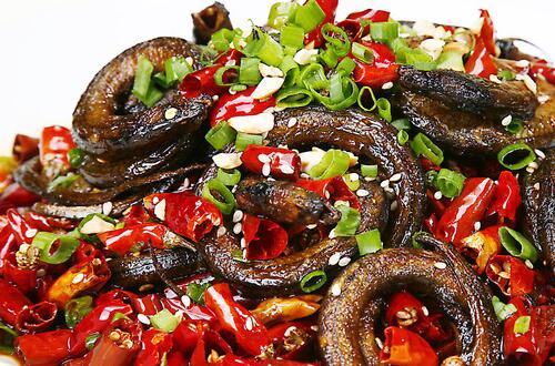 黄鳝的营养价值     富含蛋白质和DHA