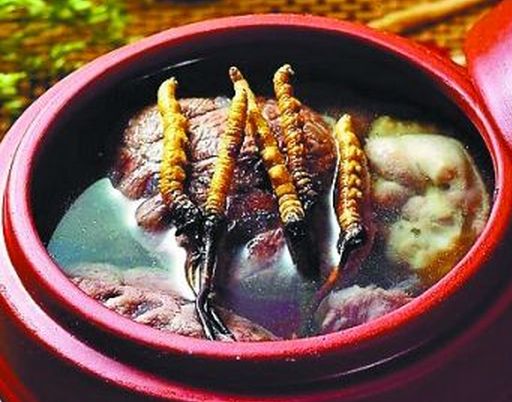 大补药材虫草的吃法及其功效