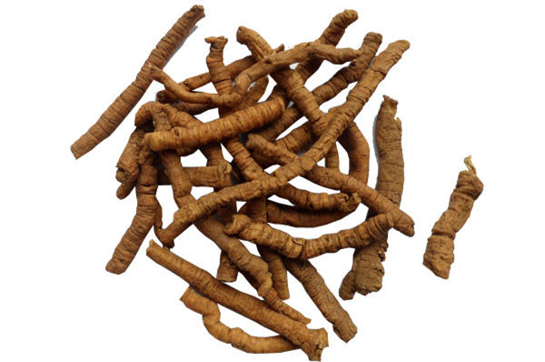 远志的作用与功效及其食疗方法