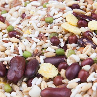 结肠炎的最佳治疗方法 结肠炎吃什么食物好