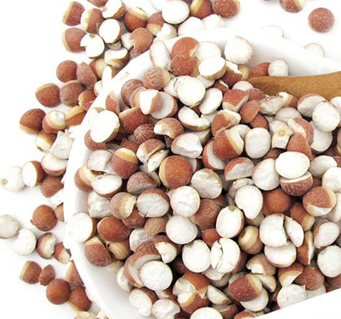 补脾止泄 芡实的作用与功效及吃法介绍