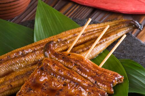 黄鳝的营养价值     富含蛋白质和DHA