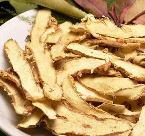 生津润燥 知母的作用与功效及常用配伍介绍