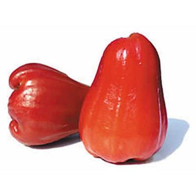 莲雾怎么吃及其食用价值