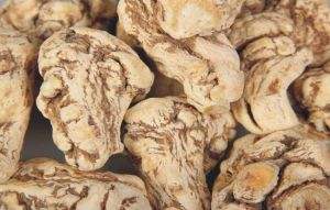 大补药材 当归的功效与作用