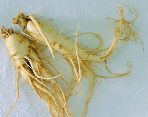 告诉你补品——高丽参的吃法有哪些