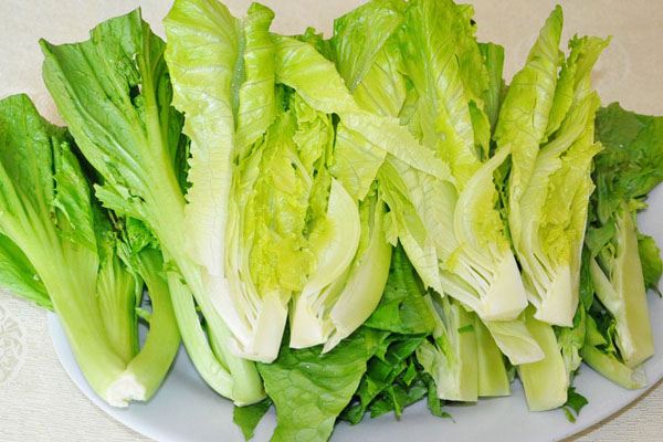 生菜的营养价值和药用价值的详解介绍