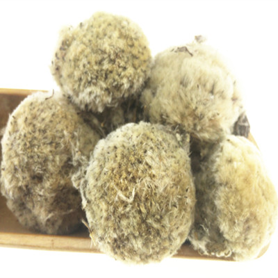 雪莲花泡酒的方法  学会了吗