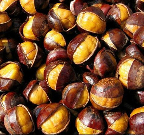 益气健脾 板栗的营养价值和功效介绍