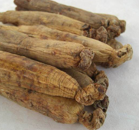 益智健脑 高丽参的作用与功效及吃法介绍