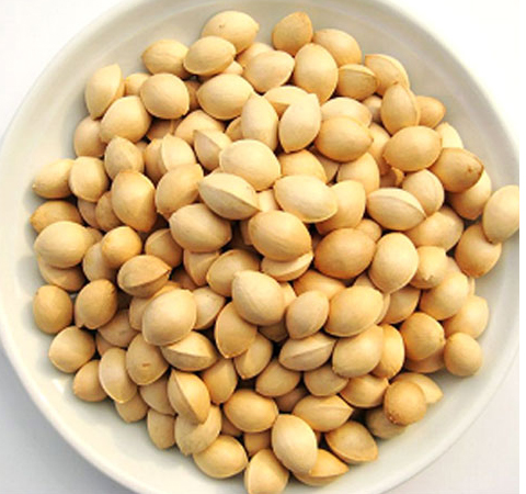 益肺气治咳喘 白果的副作用和功效介绍