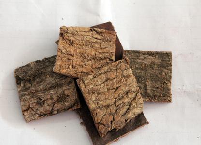 杜仲的作用与功效 具有补肝肾和强筋骨的效果