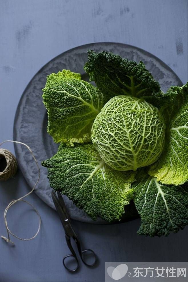 水果保鲜有妙法 每天都能吃到新鲜蔬菜