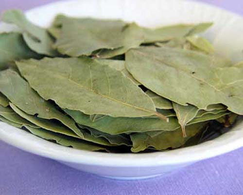 茯苓皮的功效与作用，全方位为你分析