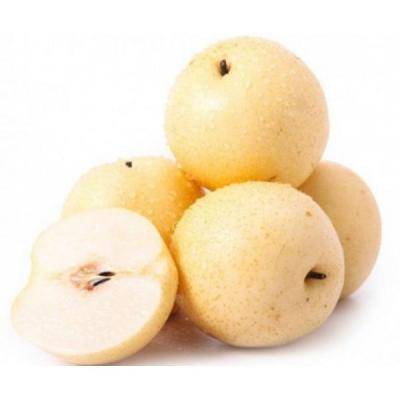 清肺润肺食疗方法 你懂得多少