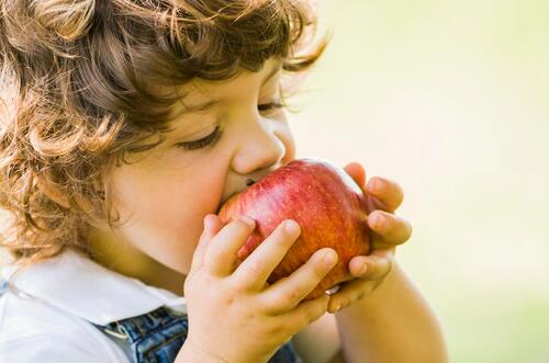 吃苹果的好处   排毒养颜且减肥