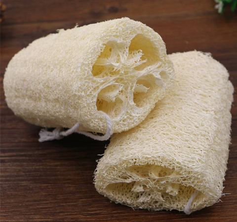 清热化痰 丝瓜络的功效与作用介绍