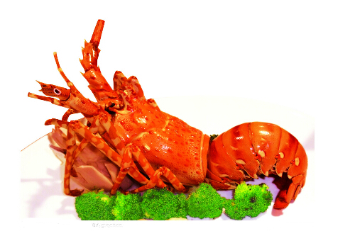 龙虾怎么吃 虾的营养价值和食用方法