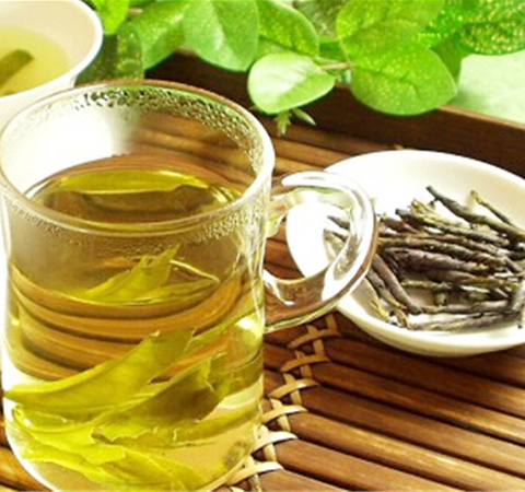 清热消暑 苦丁茶的功效和副作用介绍