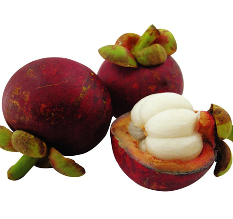 清热降火 山竹的功效与作用和吃法介绍