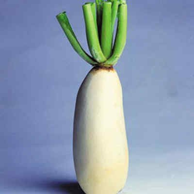 清肺润肺食疗方法 你懂得多少