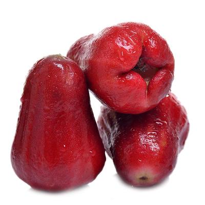 莲雾怎么吃及其食用价值