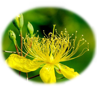 民间奇方秘方偏方 你懂哪些