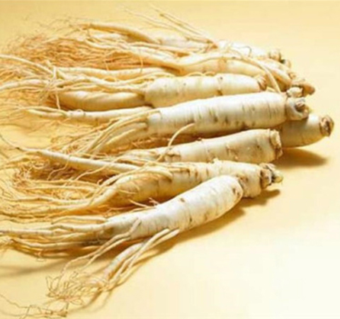大补元气 人参的功效和作用及吃法介绍