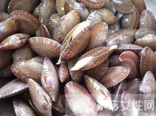 花甲的营养价值和功效与作用