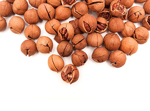 山核桃的营养价值 看完您就清楚了