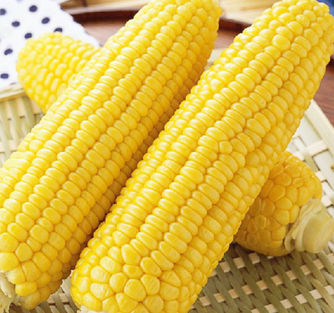 注意饮食 12种提高记忆力的食物介绍