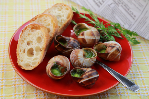 田螺的营养价值是什么 作用与功效有哪些
