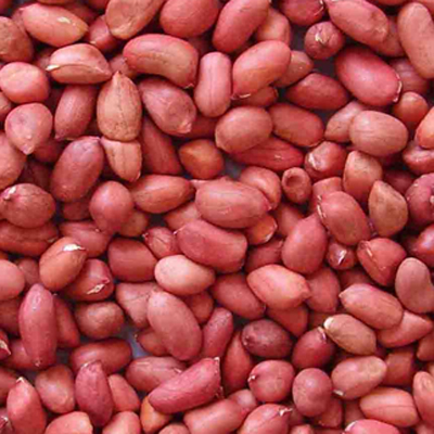 生花生的功效与作用  吃花生好处有很多