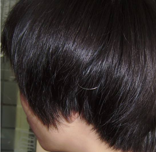 大家都在寻找怎样白发变黑发的方法