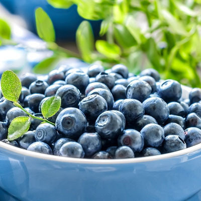蓝莓的功效与作用  增强记忆力