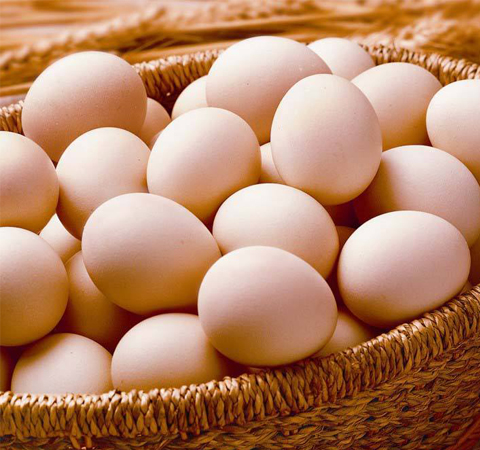 健脑益智 鸡蛋的营养价值和功效介绍