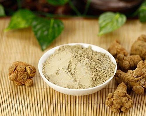 桐叶有哪些应用价值