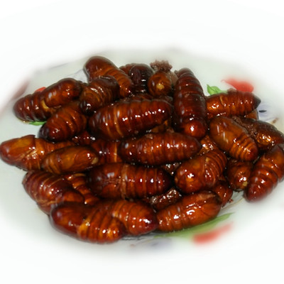  蚕蛹是绝佳的美食 蚕蛹洗脸