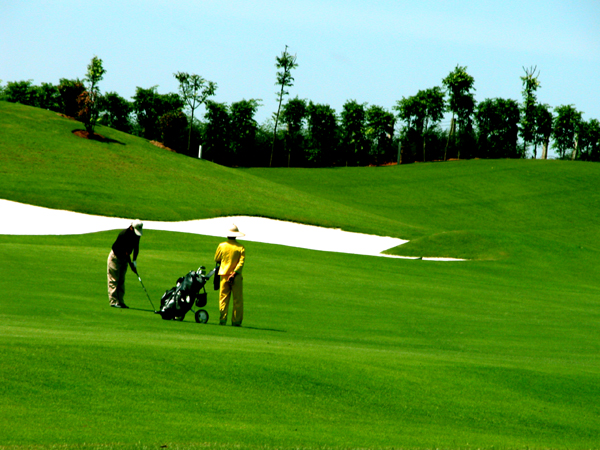 高尔夫入门教程技巧和方法