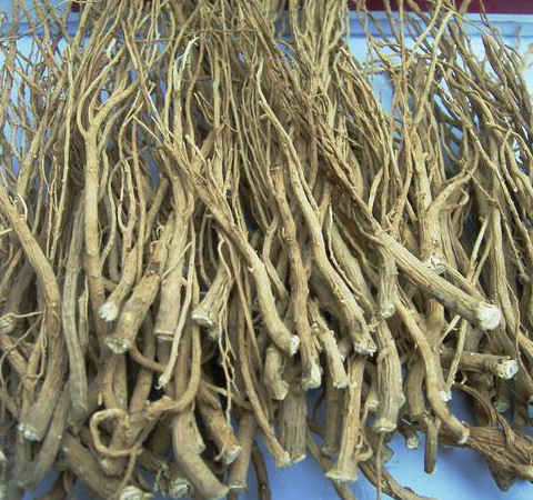 清热散邪 柴胡的功效与副作用介绍