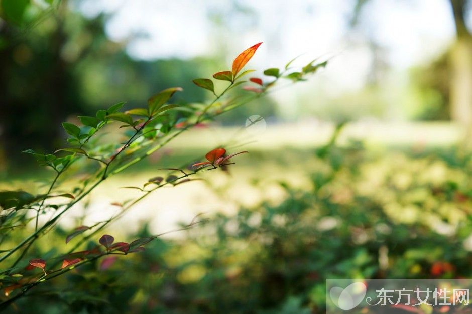 长寿养生方法有哪些 平时养生是关键