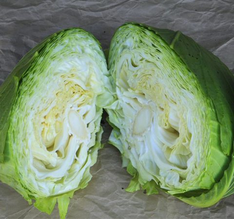 富含各种营养元素 卷心菜的营养价值介绍