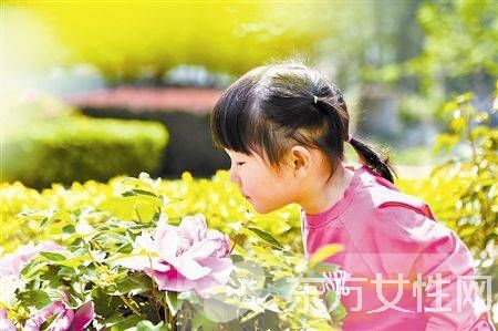 春天花粉过敏怎么办 不妨试试这些小妙招