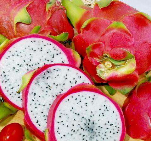 美容养颜 多吃火龙果的好处介绍