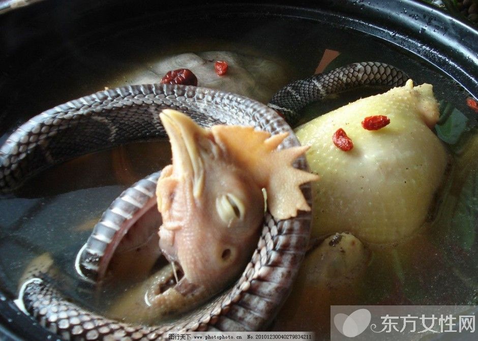 蛇汤的做法步骤是什么 蛇的这个东西一定不要吃