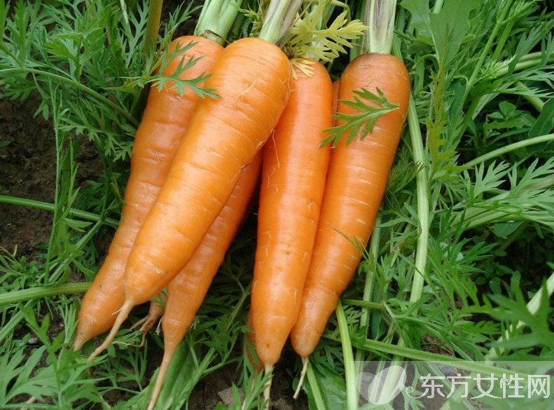 四大清肠排毒方法 让肠胃的代谢更为顺畅