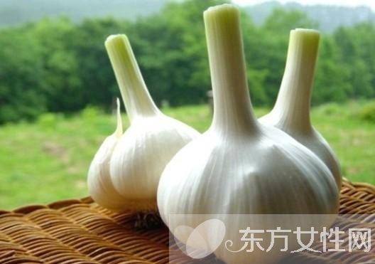 腌糖蒜的方法大全 教你如何正确腌制糖蒜