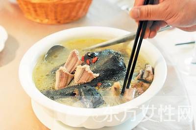 蛇汤的做法步骤是什么 蛇的这个东西一定不要吃