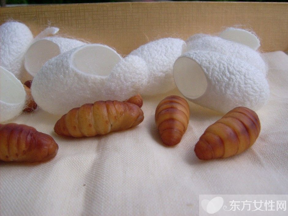 蚕蛹怎么吃 蚕蛹这么吃美味爆了