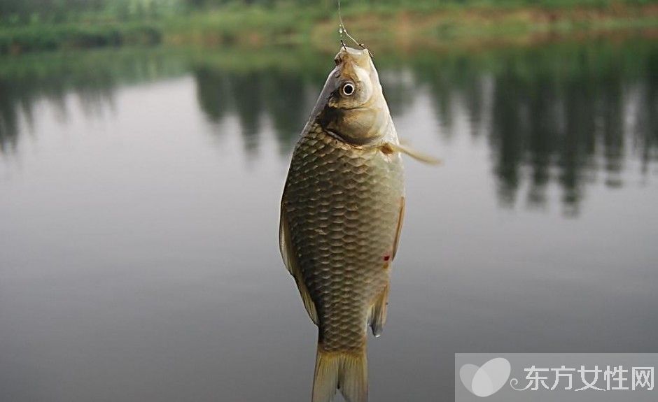 鲫鱼的营养价值及功效 鲫鱼怎么做好吃